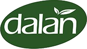 Dalan
